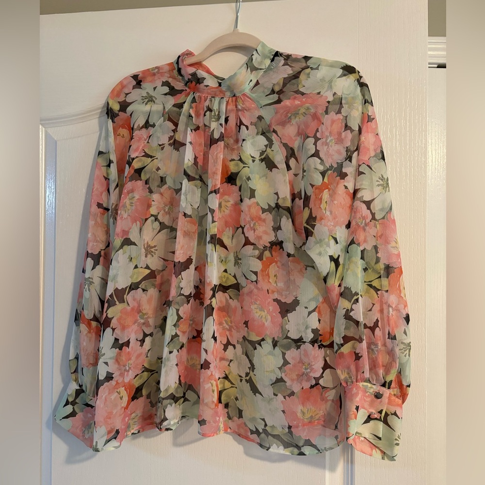 Zara sheer long sleeve blouse